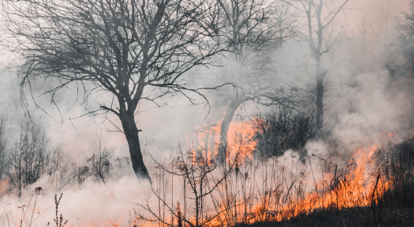 COMMENT ÉVITER LES DÉSASTRES D’UN LEADERSHIP INEFFICACE? 